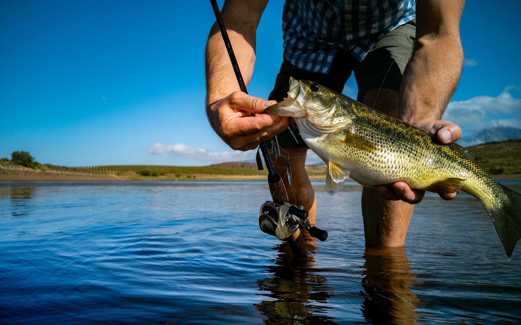 5 Bass Fishing Tips in Lakes without Cover - WeFishFlorida.com